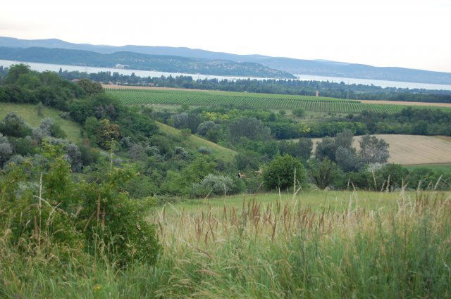 Eladó mezogazdasagi ingatlan, Kőröshegyen 102 M Ft