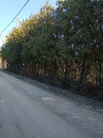 Eladó telek, Érden 14.99 M Ft / költözzbe.hu