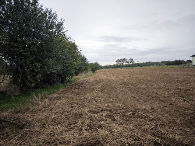 Eladó családi ház, Gyömörén 25 M Ft, 3 szobás