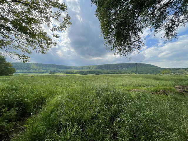 Eladó mezogazdasagi ingatlan, Vértestolnán 190 M Ft