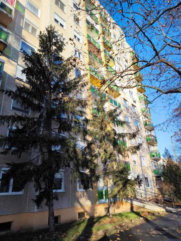 Kiadó panellakás, albérlet, Debrecenben, Görgey utcában