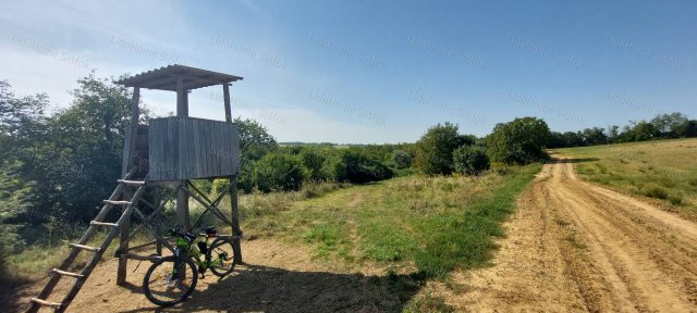 Eladó mezogazdasagi ingatlan, Kötcsén 1.5 M Ft
