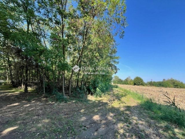 Eladó családi ház, Csongrádon 21.9 M Ft, 2 szobás