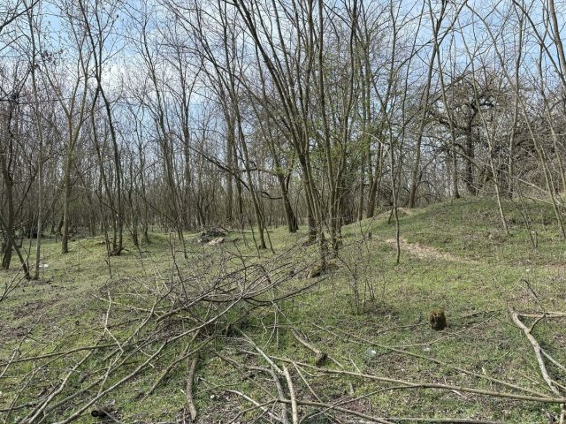 Eladó mezogazdasagi ingatlan, Lajosmizsén 5.2 M Ft