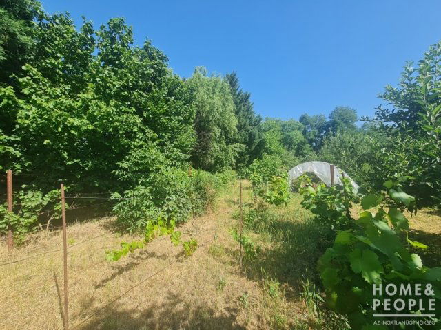 Eladó telek, Hódmezővásárhelyen 5 M Ft / költözzbe.hu