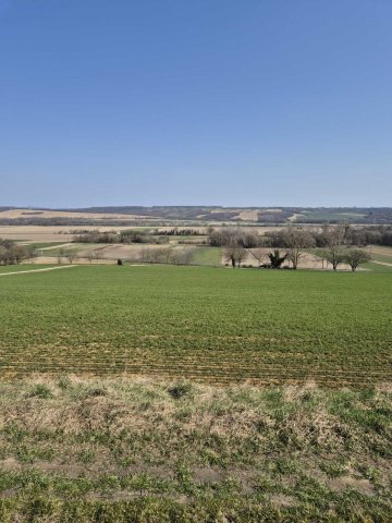 Eladó családi ház, Bókaházán 8 M Ft, 1 szobás