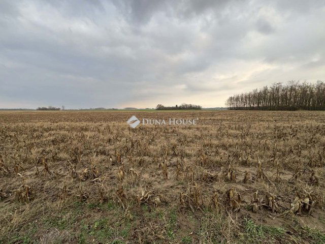 Eladó mezogazdasagi ingatlan, Jászberényben 12.5 M Ft