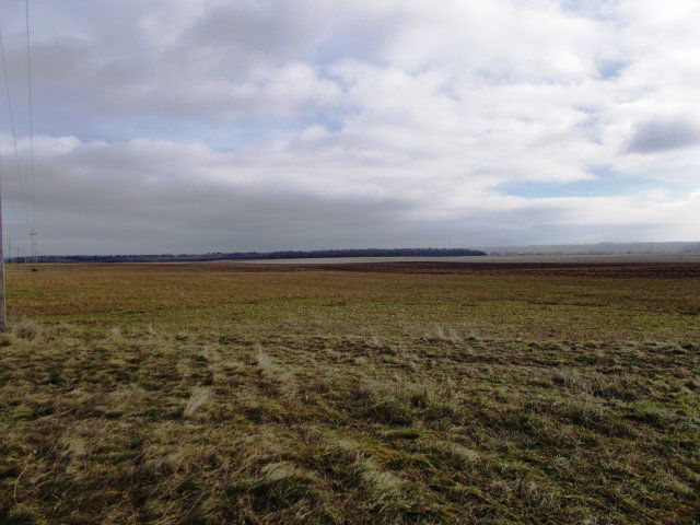 Eladó mezogazdasagi ingatlan, Berhidán 82 M Ft