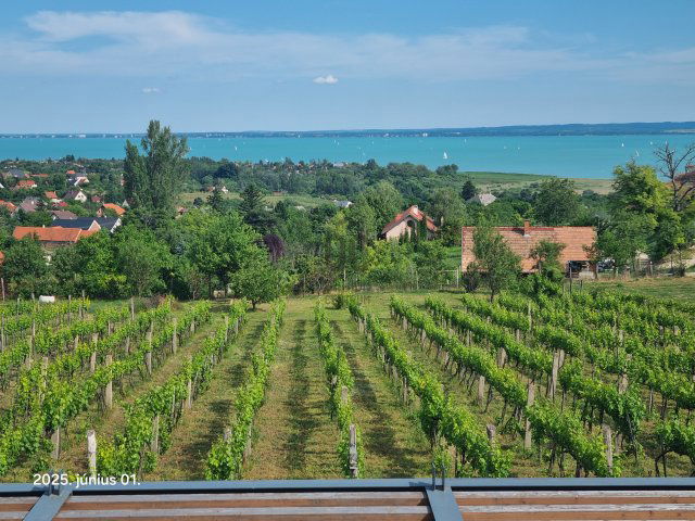 Eladó családi ház, Csopakon 349 M Ft, 3 szobás