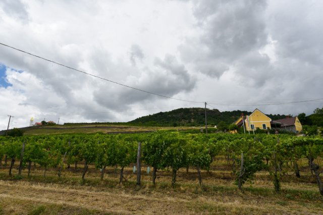 Eladó telek, Somlójenőn 7.49 M Ft / költözzbe.hu