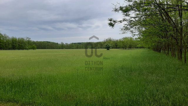 Eladó mezogazdasagi ingatlan, Nagykőrösön 10 M Ft