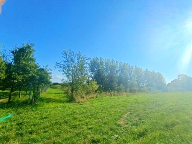 Eladó családi ház, Sárospatakon 40 M Ft, 1 szobás