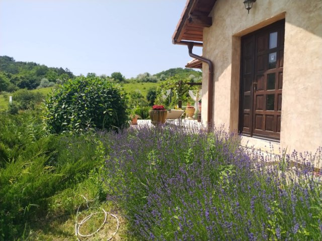 Eladó családi ház, Piliscsabán 89 M Ft, 2 szobás