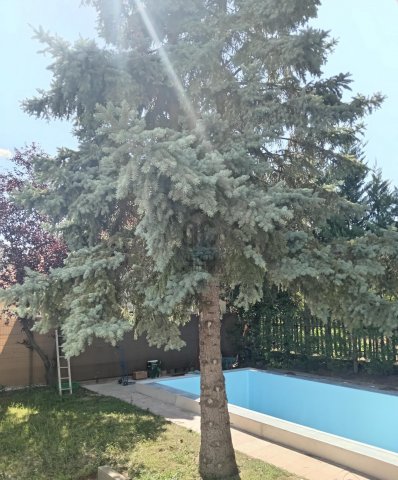 Eladó családi ház, Gödöllőn 154.9 M Ft, 5 szobás
