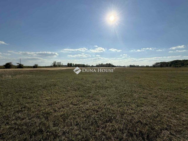 Eladó mezogazdasagi ingatlan, Orgoványon 79.9 M Ft, 3 szobás