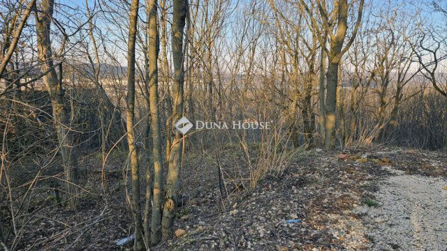 Eladó telek, Biatorbágyon 9.5 M Ft / költözzbe.hu