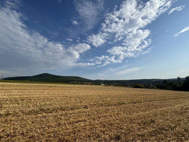Eladó telek, Kosdon 29.99 M Ft / költözzbe.hu
