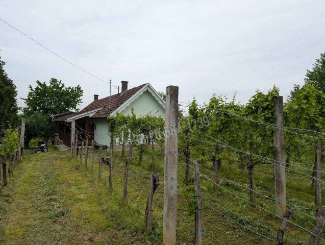 Eladó nyaraló, Csapiban 13.9 M Ft, 2 szobás