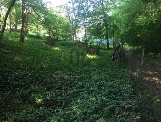 Eladó telek, Budakeszin 45 M Ft / költözzbe.hu