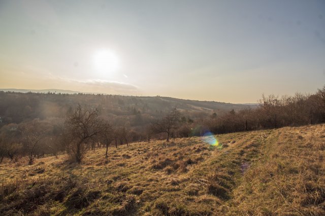 Eladó mezogazdasagi ingatlan, Miskolcon, Közdomb utcában 6.5 M Ft