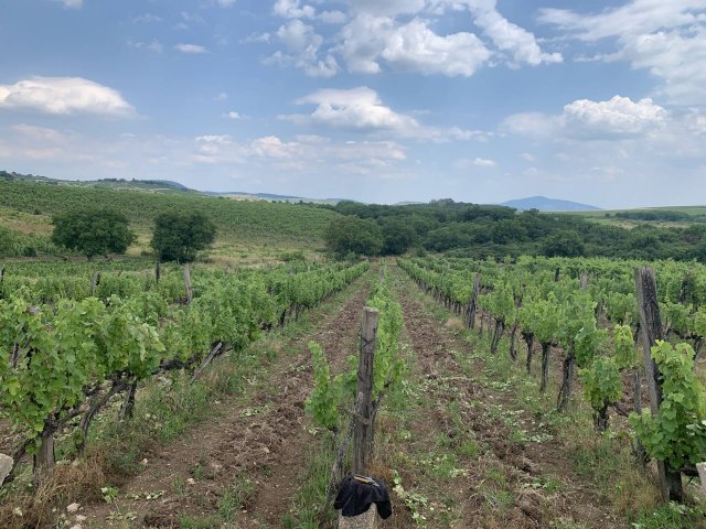 Eladó mezogazdasagi ingatlan, Rátkán 7.5 M Ft