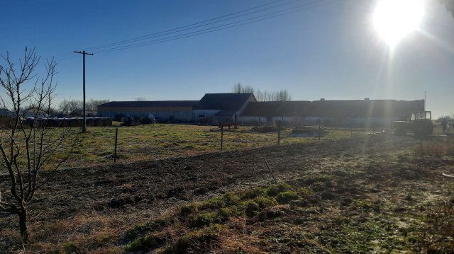 Eladó mezogazdasagi ingatlan, Bácsszentgyörgyön 75 M Ft