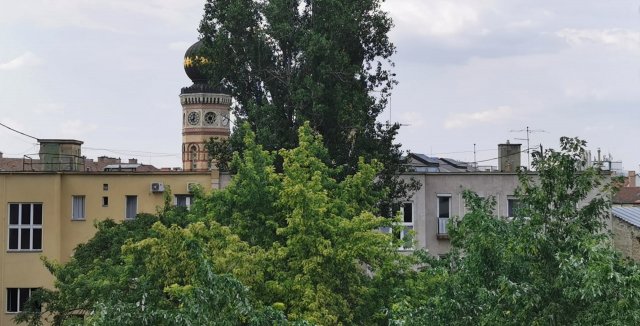 Kiadó téglalakás, albérlet, VII. kerületben, Károly körúton