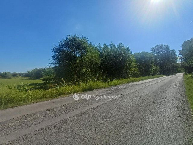 Eladó mezogazdasagi ingatlan, Dunaharasztin 2.5 M Ft