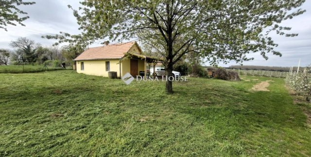 Eladó mezogazdasagi ingatlan, Mozsgón 15.5 M Ft, 1 szobás
