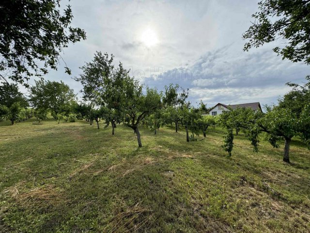 Eladó mezogazdasagi ingatlan, Etyeken 170 M Ft