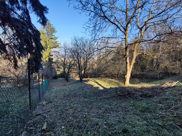 Eladó telek, Tahitótfalun 29 M Ft / költözzbe.hu