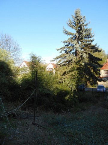 Eladó telek, Zalaegerszegen 9 M Ft / költözzbe.hu