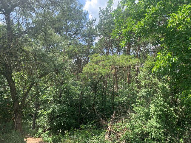 Eladó mezogazdasagi ingatlan, Budapesten, XVII. kerületben 4.9 M Ft