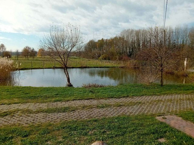 Eladó családi ház, Galambokon 380 M Ft, 22 szobás