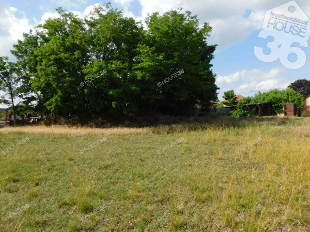 Eladó telek, Tiszaalpáron 9 M Ft / költözzbe.hu