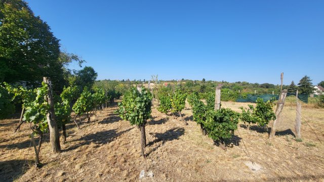 Eladó telek, Balatonkenesén 28 M Ft / költözzbe.hu