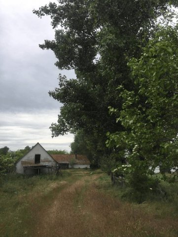 Eladó mezogazdasagi ingatlan, Sükösdön 16.9 M Ft