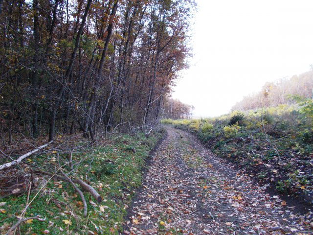 Eladó mezogazdasagi ingatlan, Nádasdladányban 111 M Ft