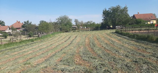 Eladó családi ház, Komádiban, Fő utcában 6 M Ft, 2 szobás