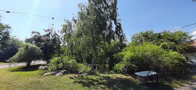 Eladó családi ház, Tapolcán 195 M Ft, 4 szobás