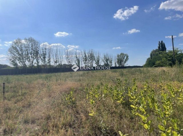 Eladó mezogazdasagi ingatlan, Szegeden 3.5 M Ft