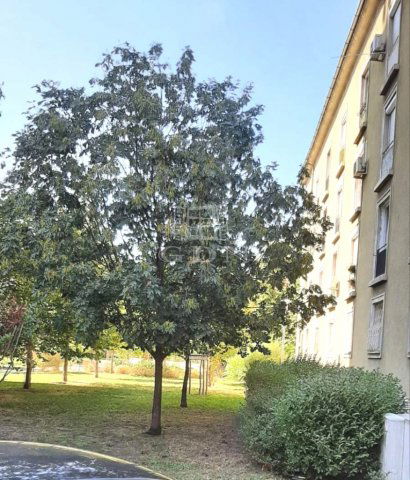 Eladó téglalakás, Budapesten, XIII. kerületben 52.9 M Ft