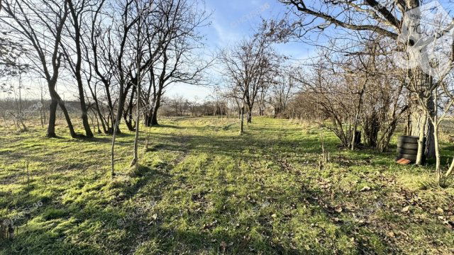 Eladó mezogazdasagi ingatlan, Kecskeméten 6.99 M Ft, 1 szobás