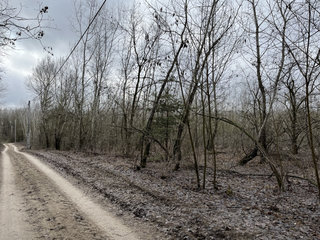 Eladó telek, Orgoványon 12 M Ft / költözzbe.hu