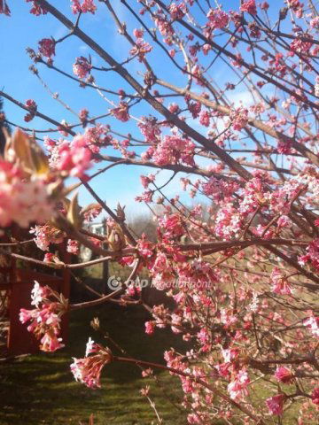 Eladó családi ház, Érden 150 M Ft, 4 szobás