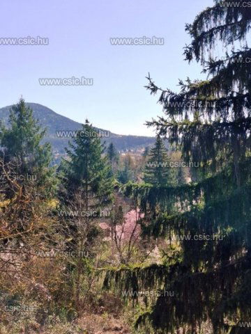 Eladó családi ház, Csobánkán 64.9 M Ft, 4 szobás