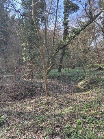 Eladó telek, Zalacsányon 25 M Ft / költözzbe.hu