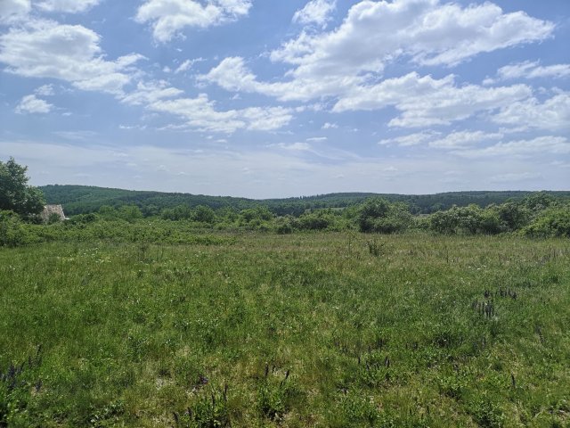 Eladó mezogazdasagi ingatlan, Vászolyon 98 M Ft