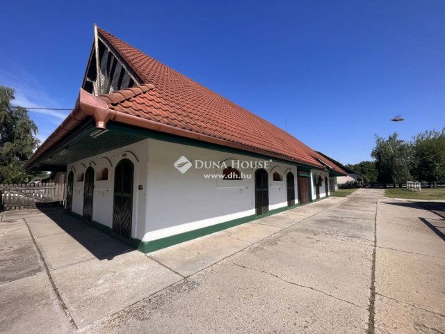 Eladó mezogazdasagi ingatlan, Kecskeméten 135 M Ft, 16 szobás