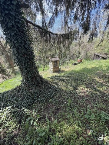 Eladó mezogazdasagi ingatlan, Dombóváron 11 M Ft